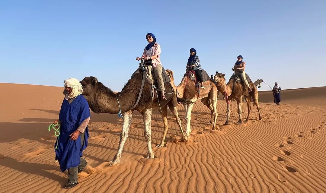 Tour highlight image