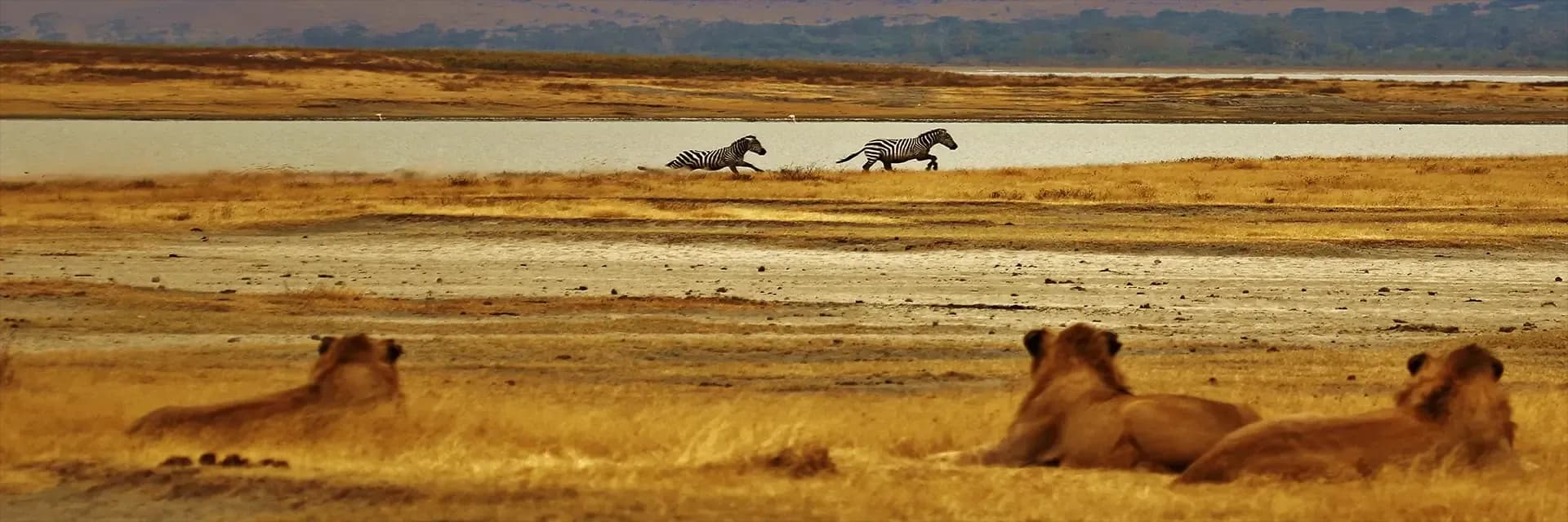 Itinerary destination image