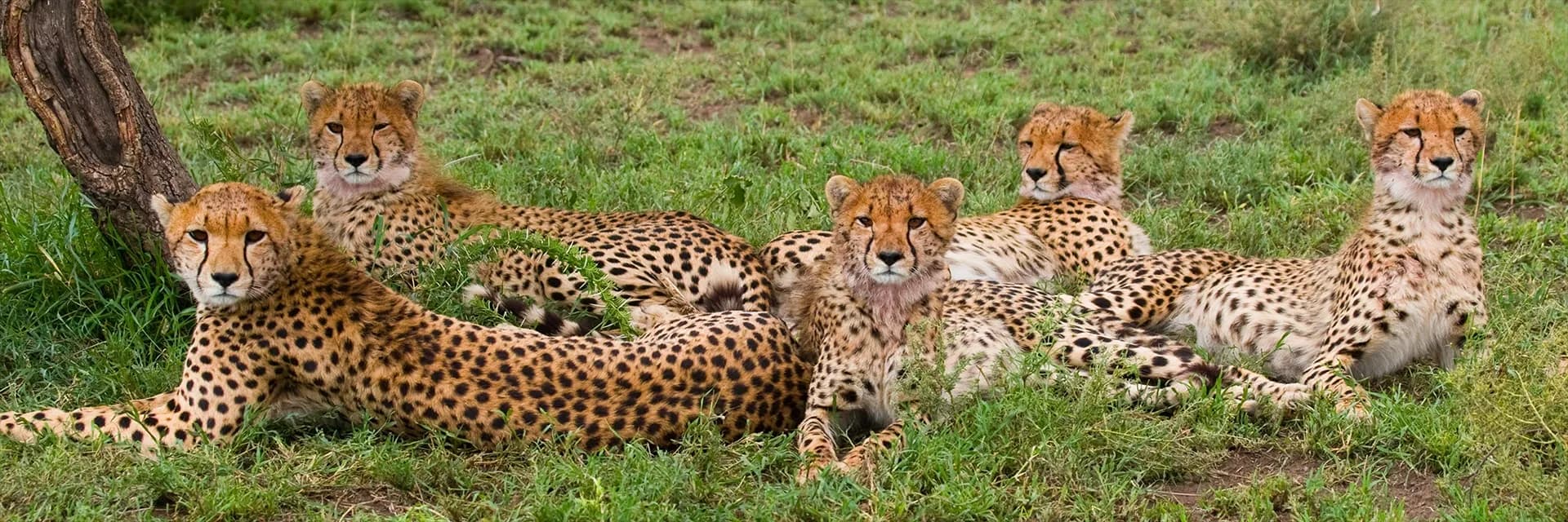 Travel destination image