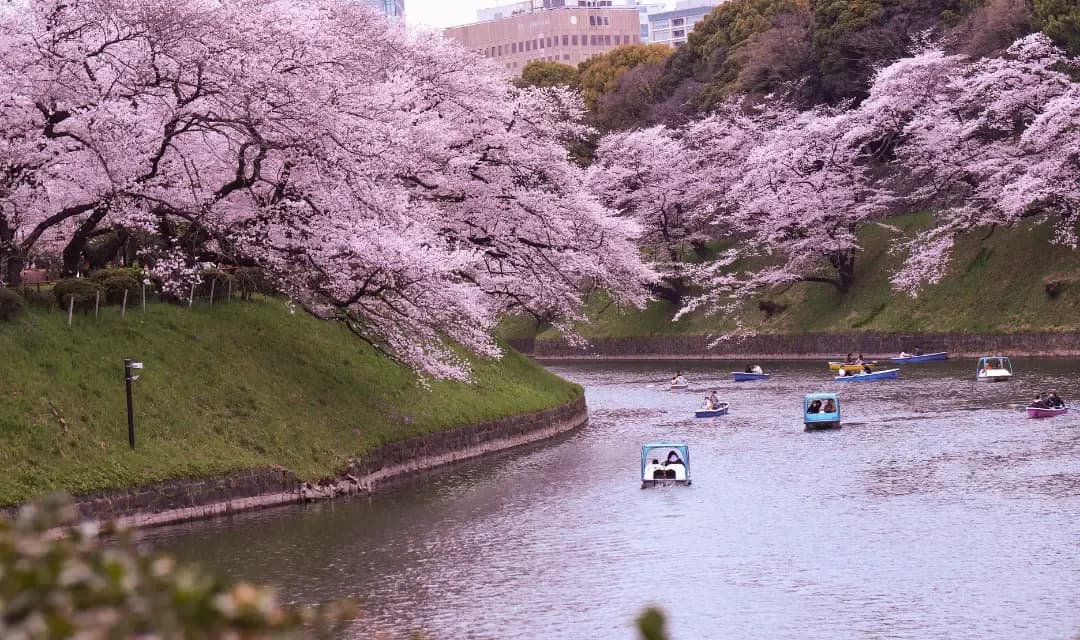 Japan