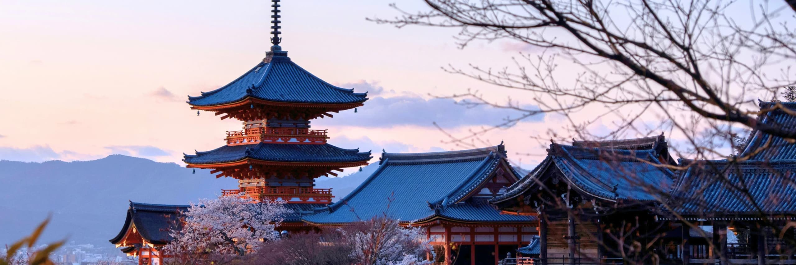 Japan Travel: A Curator's Guide to Culture, Contrast and Detail