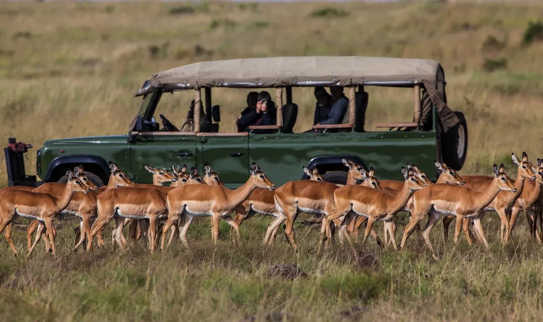 Kenya & Tanzania Safari Adventure