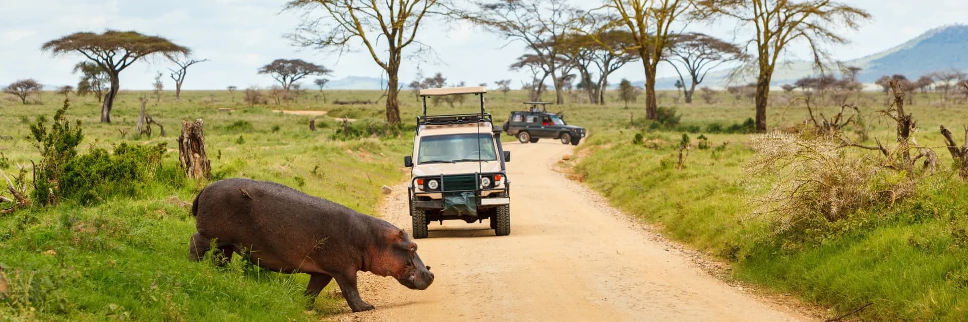 Why Kenya and Tanzania Together Create the Ultimate Safari