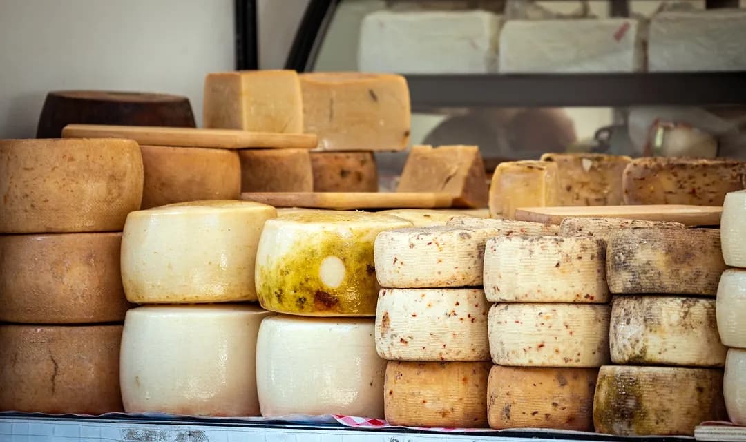 Tour highlight image