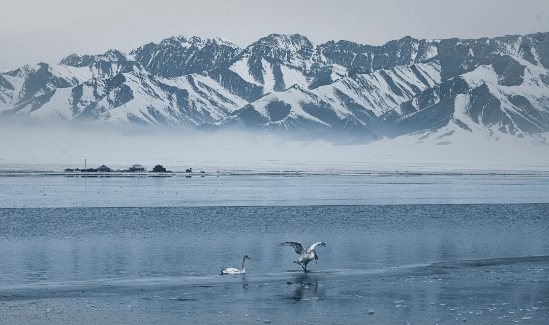 Tour highlight image