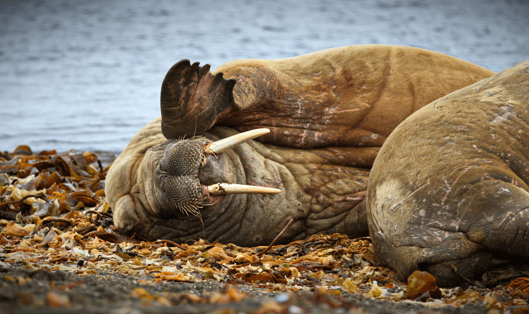 Tour highlight image