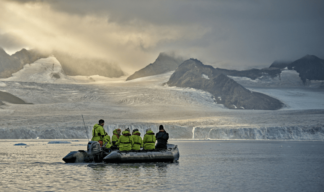 Wild polar bear walking along the pack ice edge during a Svalbard cruise expedition