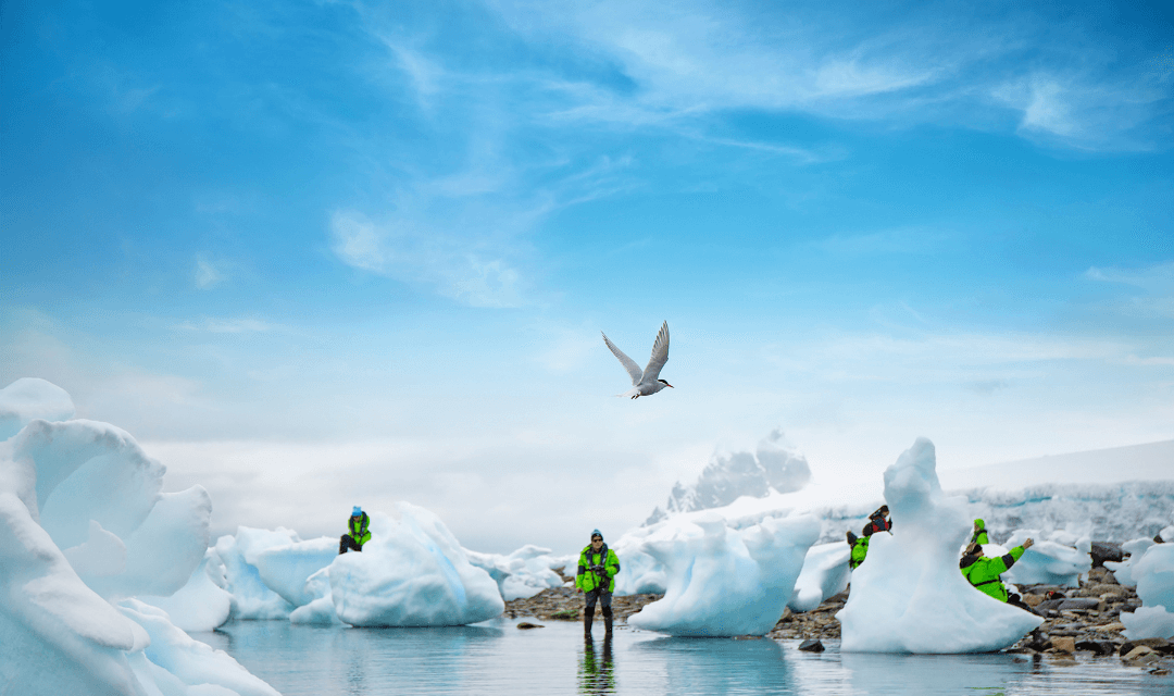Svalbard Arctic Quest