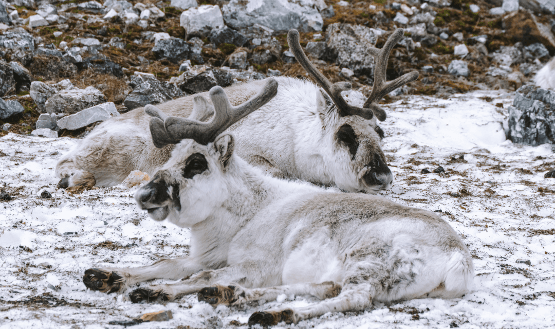 Tour highlight image