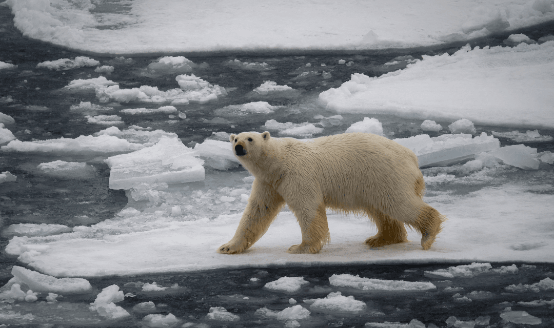 Tour highlight image