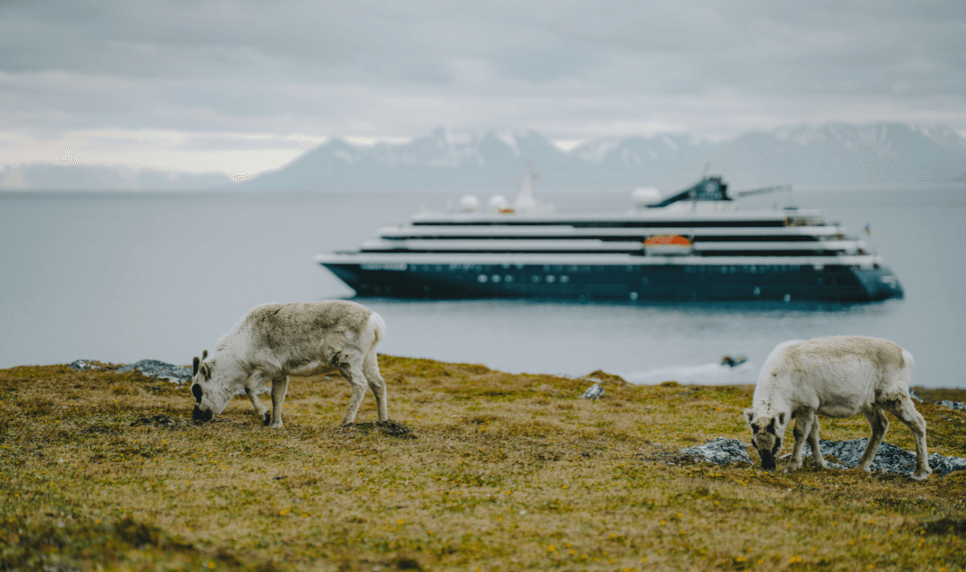 Tour highlight image