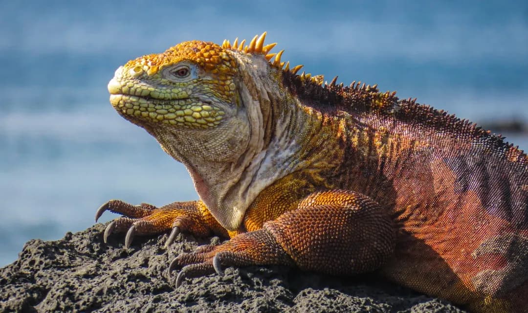 Tour highlight image