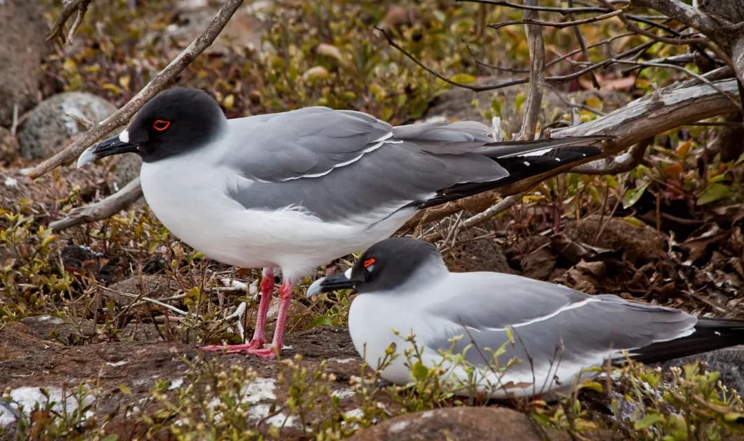 Tour highlight image