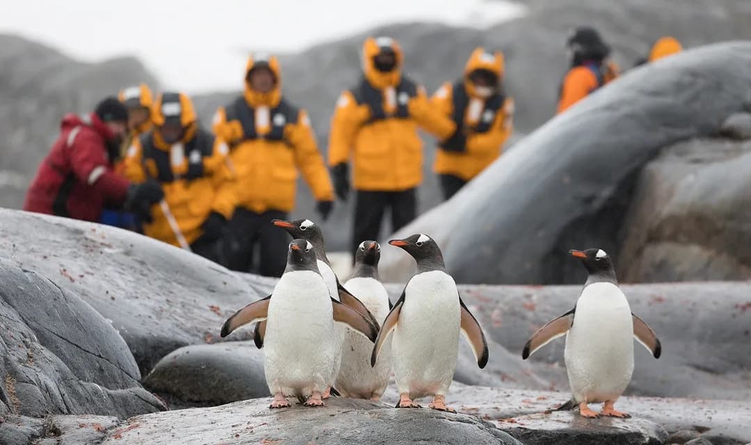 The Great Antarctic Expedition