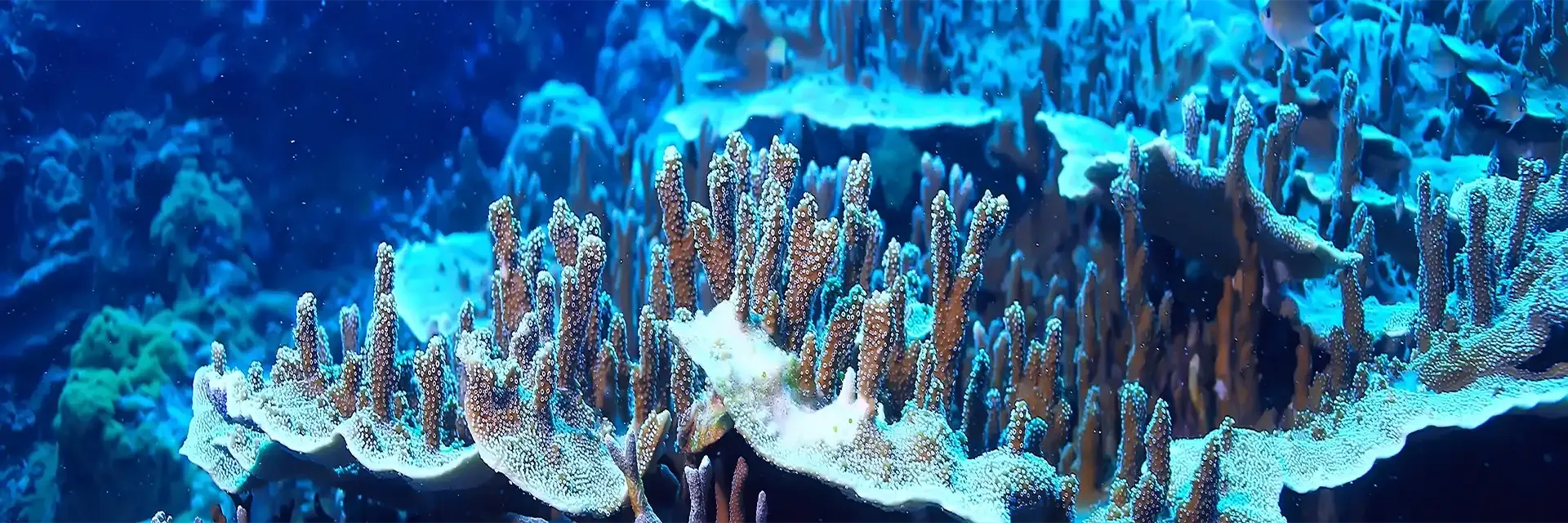 Itinerary destination image