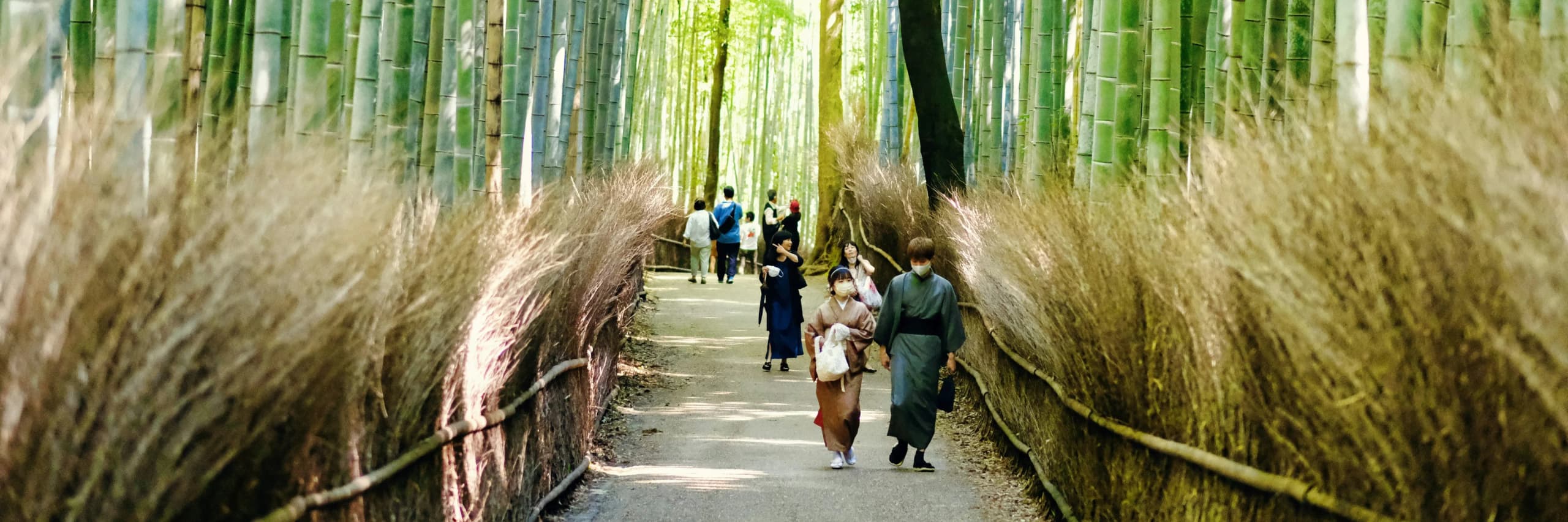 When to Book a Japan Trip: Timeline, Priorities, and What Comes First