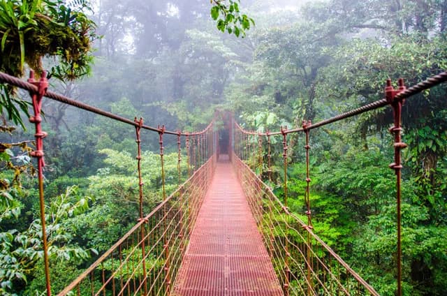 blogVacation