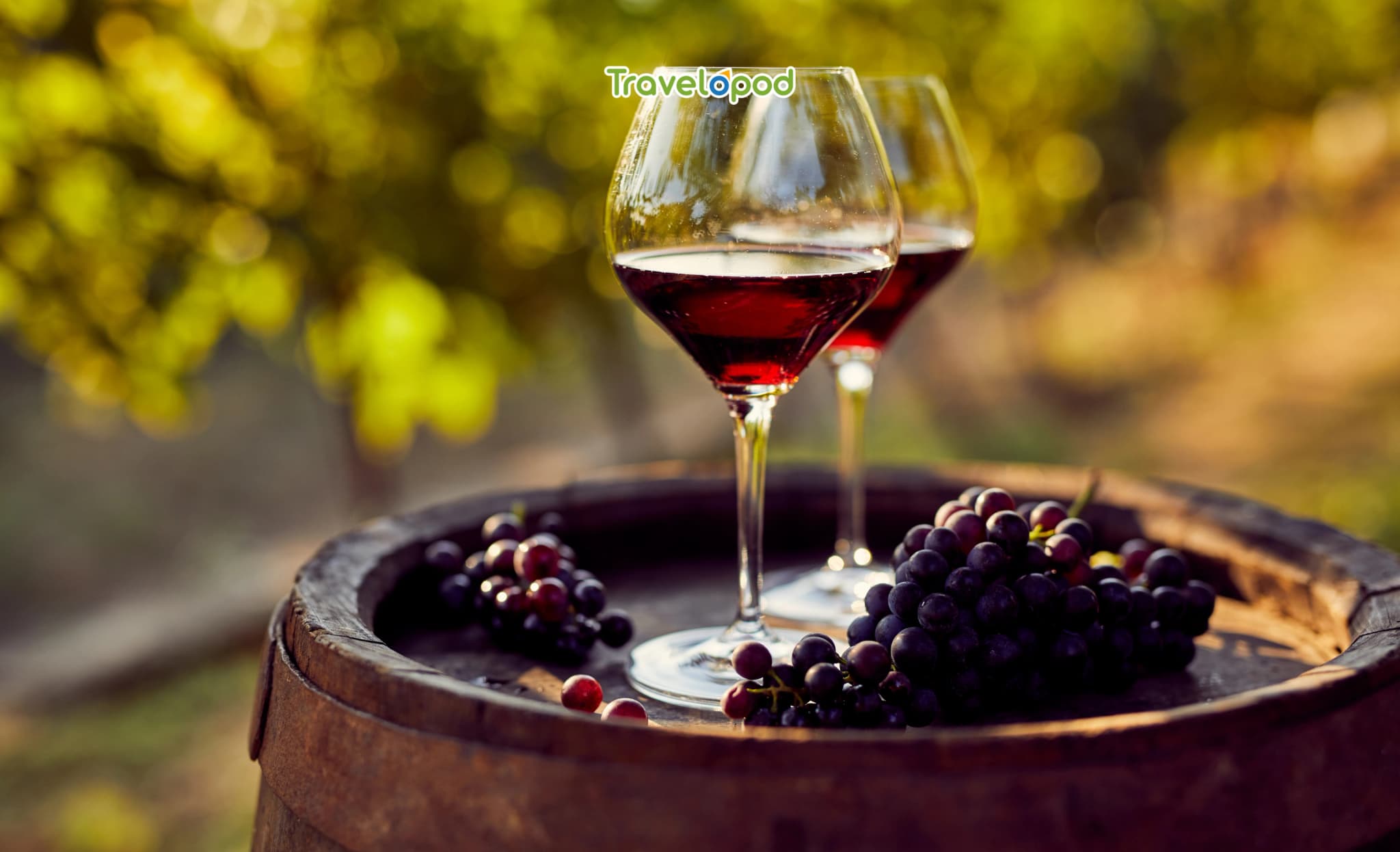 Il Poggio Rosso at Borgo San Felice Resort (Siena, Italy)