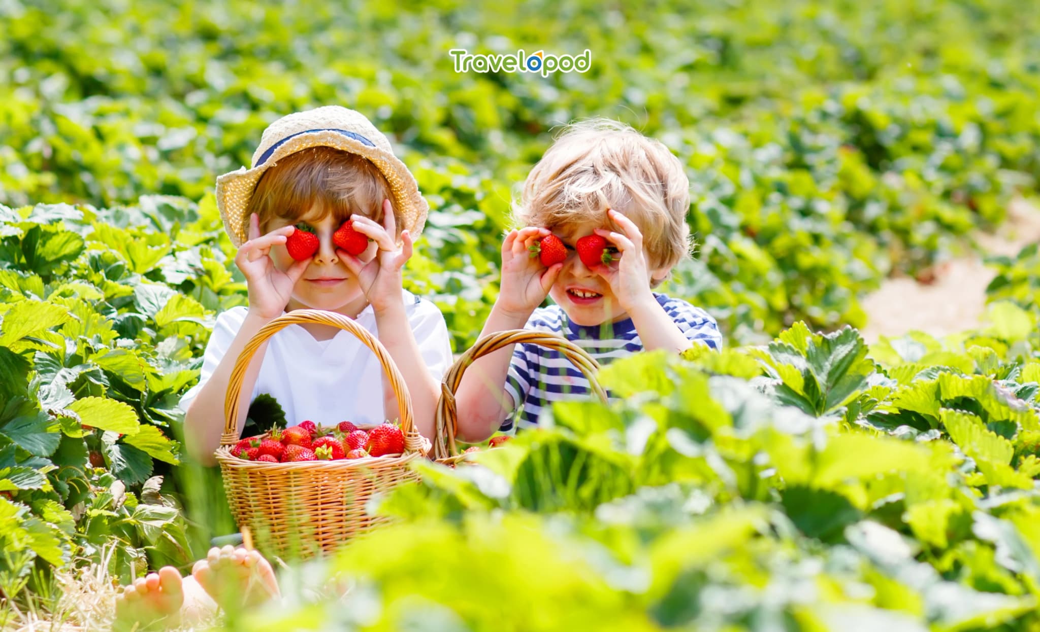 Killiehuntly Farmhouse (Scotland)