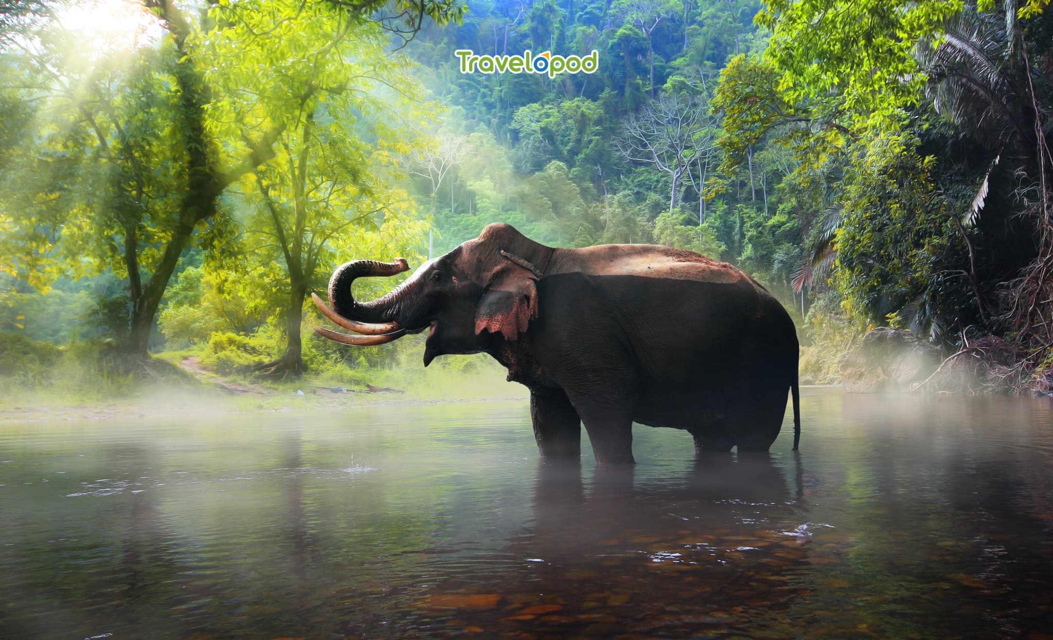 Mother Nature Takes The Lead