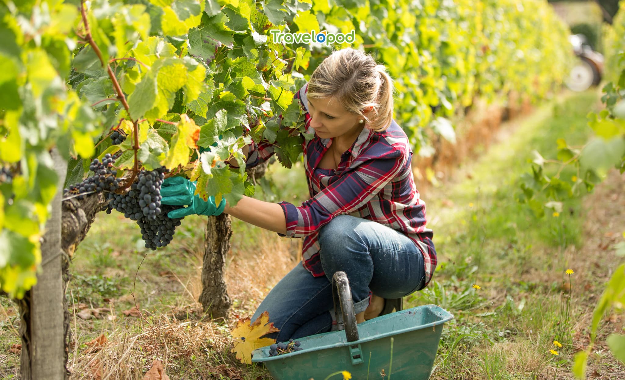 Experiential Travel - Less Seen, More Felt