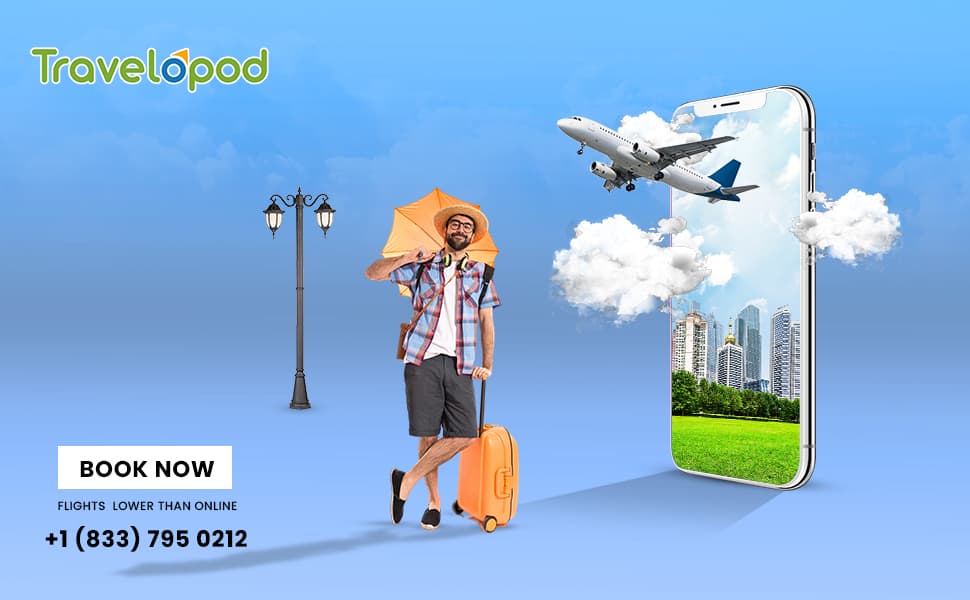 How to Book Flights to Delhi Over a Call?