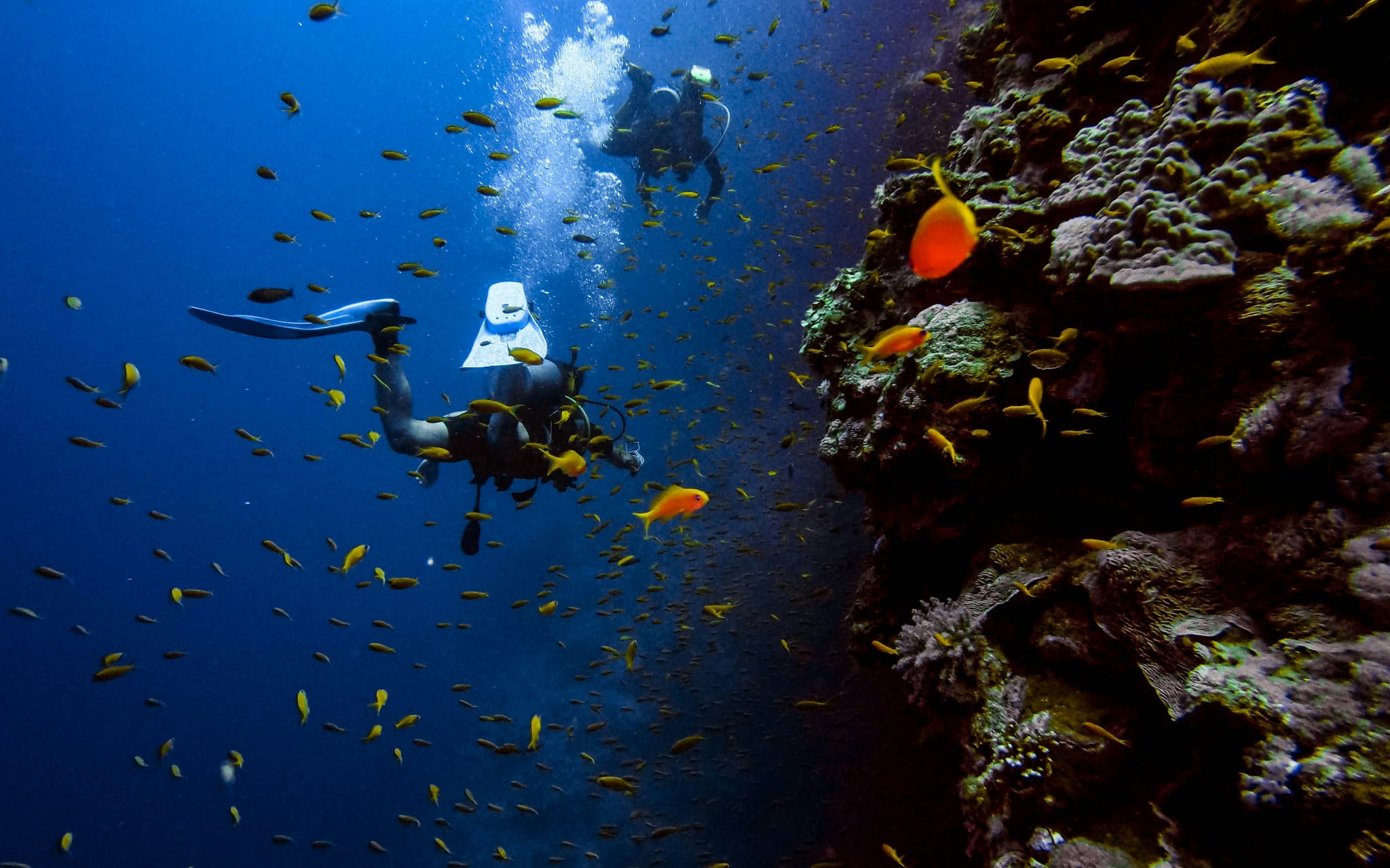 Dive deeper than ever before! Explore Earth's most unique and unforgettable underwater destinations.