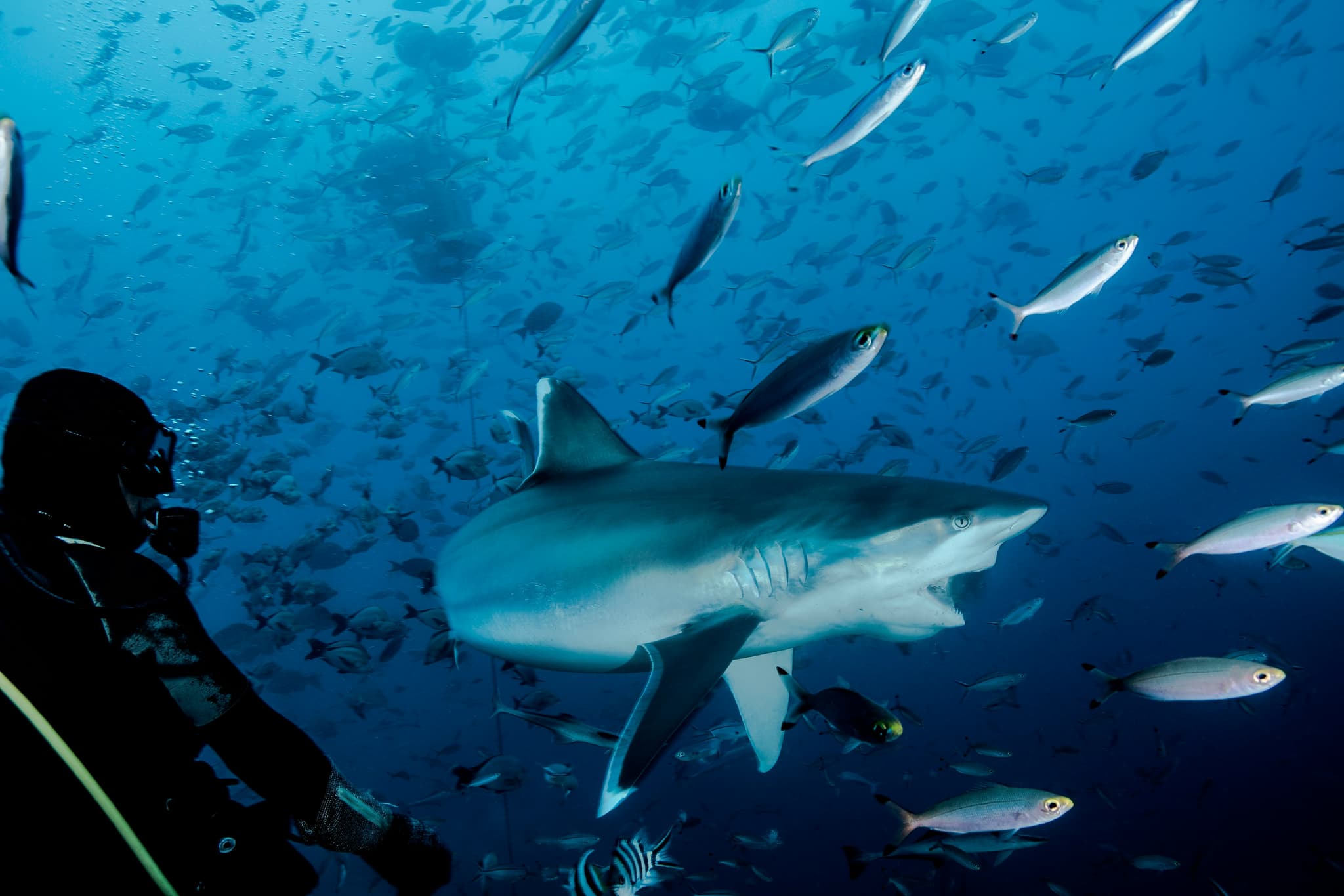 Dive deeper than ever before! Explore Earth's most unique and unforgettable underwater destinations.