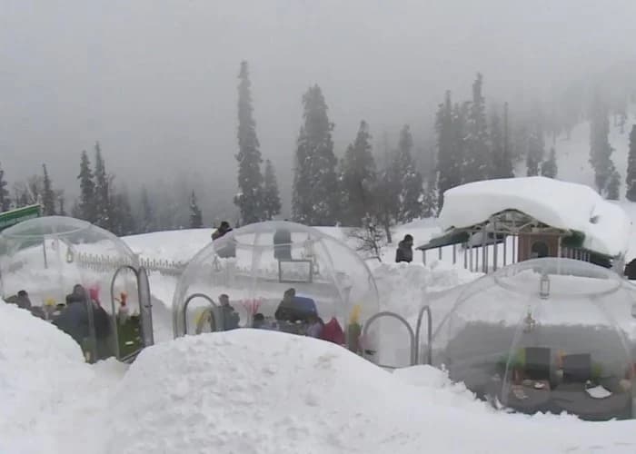 Bored of the regular cafes? Try these unique and quirky cafes in India.